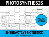 Photosynthesis: Interactive Notebook