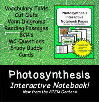 Preview of Photosynthesis Interactive Notebook - Distance Learning Friendly