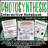 Photosynthesis Interactive Notebook Activities Google Clas