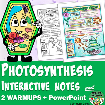 Preview of Photosynthesis Interactive Notes, PowerPoint, & Warm ups