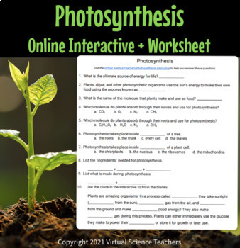 Preview of Photosynthesis Interactive Worksheet