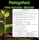 Photosynthesis Interactive Worksheet