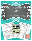 Science Experiments: Photosynthesis Lab