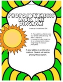 Photosynthesis Label the Diagram