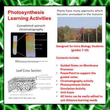 Preview of Photosynthesis Learning Activities (Distance Learning)