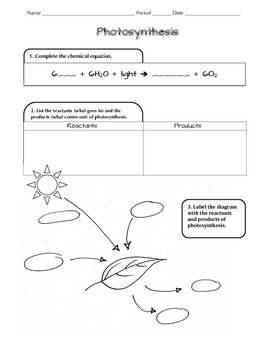 Preview of Photosynthesis NGSS Scaffolded Worksheet