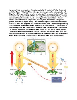 Preview of Photosynthesis:Light Dependent Reactions Story