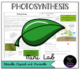 Photosynthesis: Mini Lab