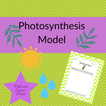 Photosynthesis Model By Math And Science Minds Tpt