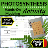 Photosynthesis Model | Plants | Lesson Plan