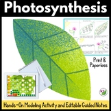 Photosynthesis: Modeling Activity and Guided Notes Lessons