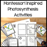 Photosynthesis Montessori Inspired activity