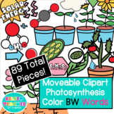 Photosynthesis Moveable Clip Art Pack| Science | Pieces fo
