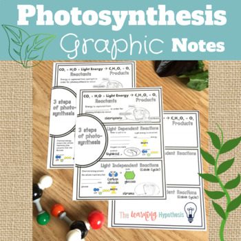 Preview of Photosynthesis worksheets.  Digital and Print.  Distance Learning.