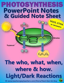 Preview of Photosynthesis Notes: Powerpoint & Guided Note Sheet - NGSS: Distance Learning
