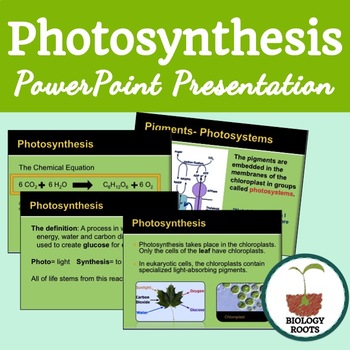 Preview of Photosynthesis- PowerPoint Notes