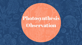 Preview of Photosynthesis Observation