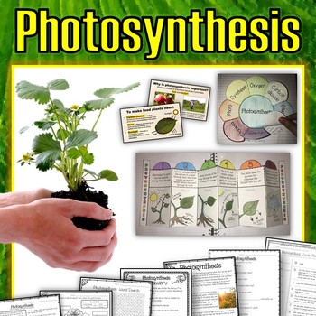 Preview of Photosynthesis Pack - Printables, Interactive Notebook, Editable PowerPoint