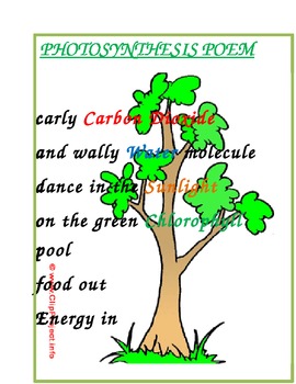 Preview of Photosynthesis Poem