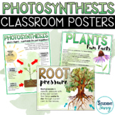 Photosynthesis Posters | Earth Science Classroom Decor | P