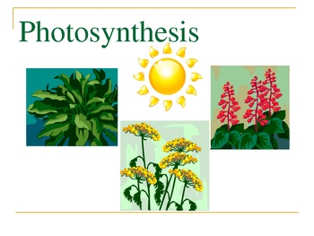 Preview of Photosynthesis Power Point