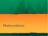 Photosynthesis PowerPoint and Fill-In-The-Blank Notes