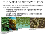 Photosynthesis Powerpoint