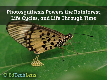 Preview of Biodiversity in Rainforest Ecosystems, Life Cycles & Life Through Time Unit EPUB