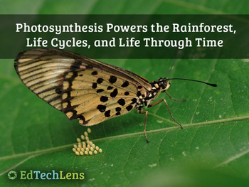 Preview of Biodiversity in Rainforest Ecosystems, Life Cycles & Life Through Time Unit PDF