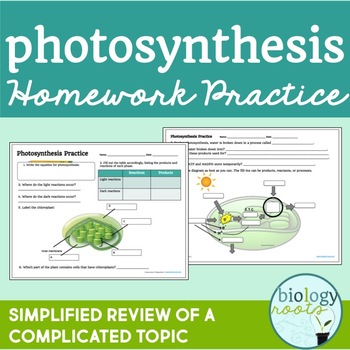 photosynthesis homework