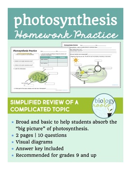 Photosynthesis homework help