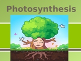 Photosynthesis Presentation