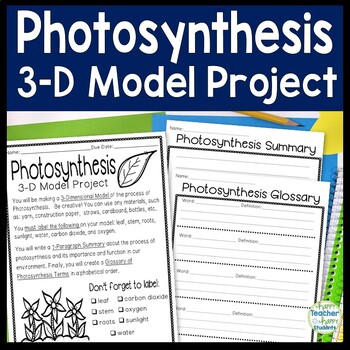 Photosynthesis Project 3 D Model Of Photosynthesis With Glossary Summary Too