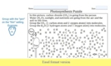 Photosynthesis Puzzle - Distance Learning