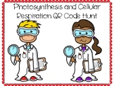 Photosynthesis & Cellular Respiration QR Code Hunt (Conten