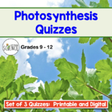 Photosynthesis Quizzes
