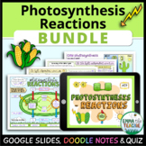 Photosynthesis Reactions Bundle - Digital INB, Quiz and Doodle Notes