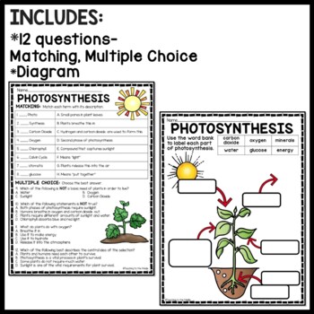 Photosynthesis Reading Comprehension Passage Worksheet for Science