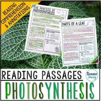 Preview of Photosynthesis Reading Passages - Questions - Annotations