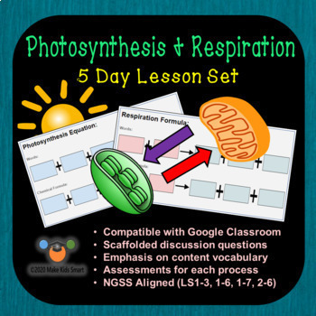 Preview of Photosynthesis & Respiration - 5 day Google Classroom Packet w/ Answers