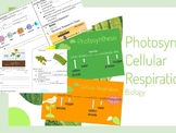 Photosynthesis & Respiration Bundle