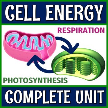 Preview of Photosynthesis and Cellular Respiration Complete Cell Energy Unit