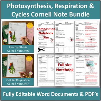 Preview of Photosynthesis, Respiration & Cycles Cornell Note Bundle #46-48