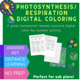 Photosynthesis & Respiration Digital Coloring Review Activity