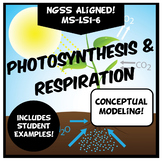 Photosynthesis & Respiration NGSS Conceptual Modeling Acivity