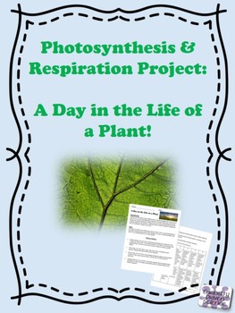 Preview of Photosynthesis & Respiration Project