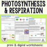 Photosynthesis & Respiration - Reading Comprehension Worksheets