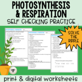 Photosynthesis & Respiration Self Checking Practice