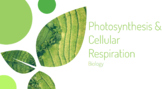 Photosynthesis & Respiration Slides