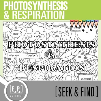 Preview of Photosynthesis & Respiration Vocabulary Search Activity | Seek and Find Science